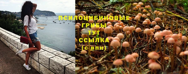 ALPHA-PVP Арсеньев