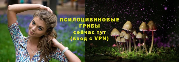 соль курить ск Армянск