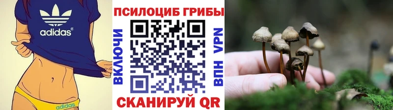 Псилоцибиновые грибы MAGIC MUSHROOMS Пыталово